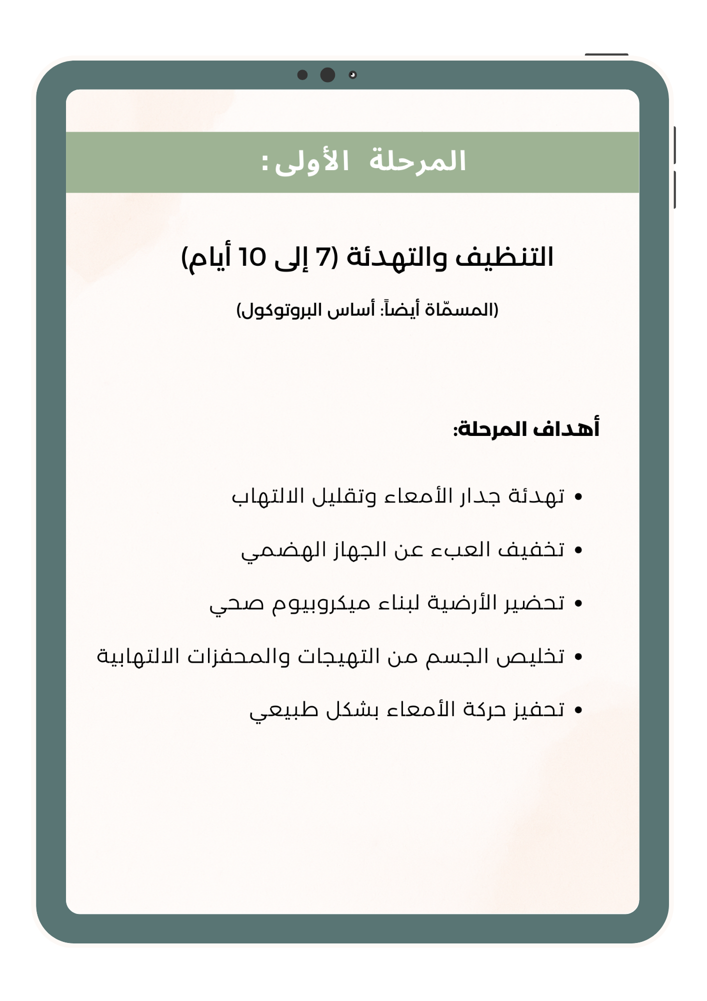 رحلة ديتوكس و تجديد من الاعماق
